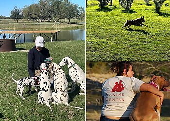 Austin Dog Training The Canine Center