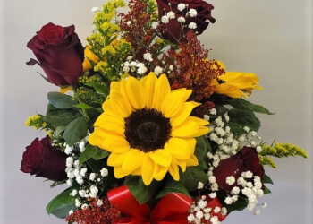 Pasadena Florists The Chocolate Rose