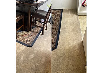 Tampa Carpet Cleaners The Clean Machine Team