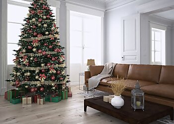 McKinney House Cleaning Services The Cleaning Force