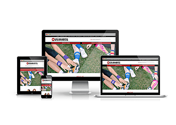 Winston Salem Web Designers The Clever Robot Inc.