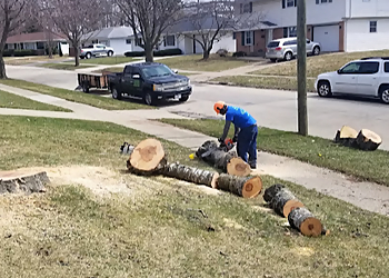 Rockford Tree Services The Climbers Tree Service