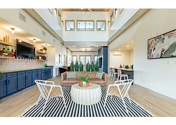 Norman Apartments For Rent The Collective At Norman