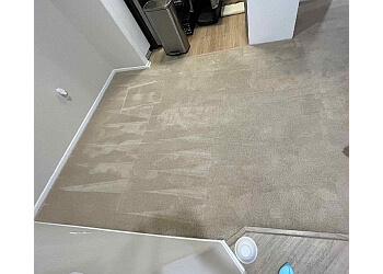 The DRY Carpet Cleaner - Pasadena, CA Carpet Cleaners - Service Highlights