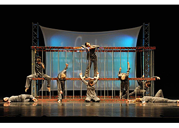 New Haven Dance Schools The Dance Connection