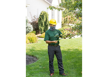 The Davey Tree Expert Company - Columbus, OH Tree Services