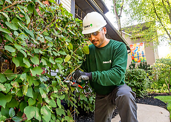 Knoxville Tree Services The Davey Tree Expert Company