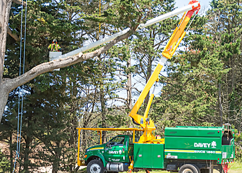 The Davey Tree Expert Company Knoxville Tree Services image 1