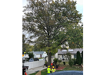The Davey Tree Expert Company - Naperville, IL Tree Services - Team Working Image