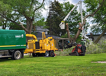 The Davey Tree Expert Company The Davey Tree Expert Company - Naperville, IL Tree Services - Service Vehicle Image