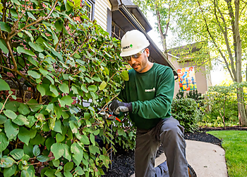North Las Vegas Tree Services The Davey Tree Expert Company