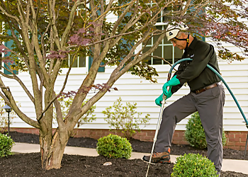 St Paul Tree Services The Davey Tree Expert Company