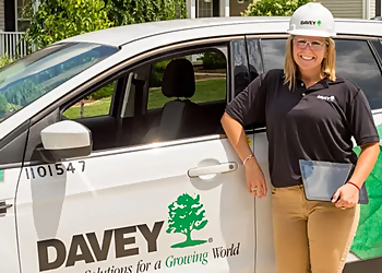 The Davey Tree Expert Company St. Louis  St Louis Tree Services image 1