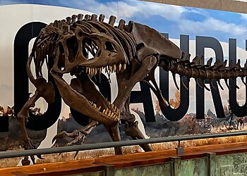 Reno Places To See The Discovery-Terry Lee Wells Nevada Discovery Museum