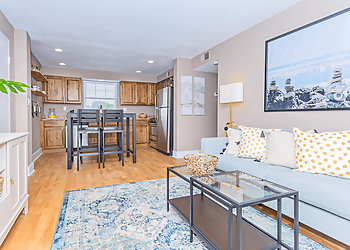 St Louis Apartments For Rent The District Apartment