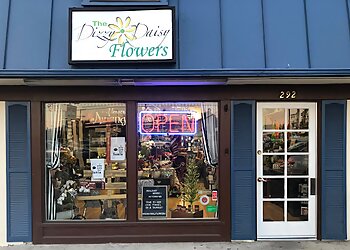 Orange Florists The Dizzy Daisy