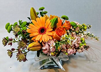 Orange Florists The Dizzy Daisy