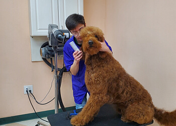 3 Best Pet Grooming in Garland, TX - Expert Recommendations