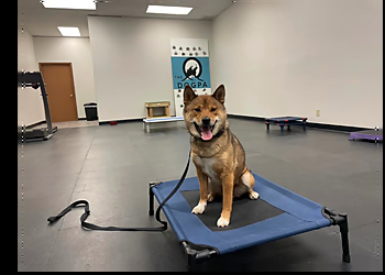 The DogPa K9 Training - Omaha, NE Dog Training - Service Highlights