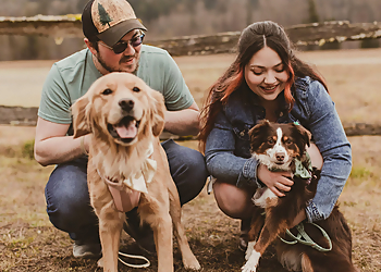 Kent Pet Grooming The Doggy Laundry LLC