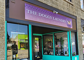 The Doggy Laundry LLC Kent Pet Grooming image 1