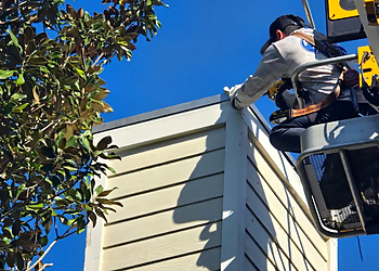 The Downtown Chimney Sweeper - Tampa, FL Chimney Sweep - Field Work Image