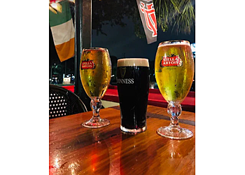 Tampa Pubs The Dubliner Irish Pub