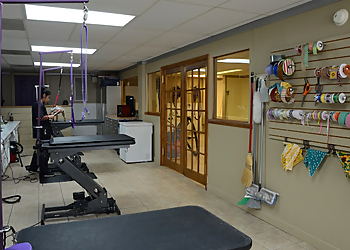 Lansing Pet Grooming The Elegant Pooch