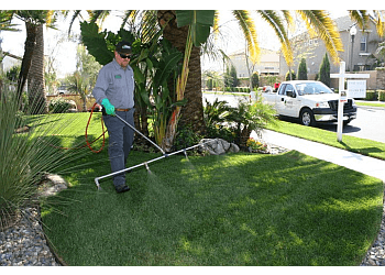 Visalia Lawn Care Services The Experienced Gardener