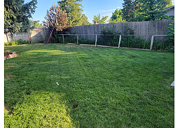 Aurora Lawn Care Services The Family Lawn