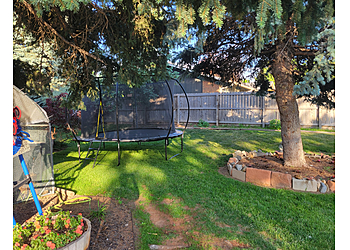 Aurora Lawn Care Services The Family Lawn