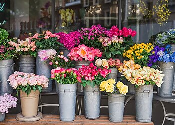 Gilbert Florists The Floristry