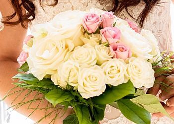 Springfield Florists The Flower Box