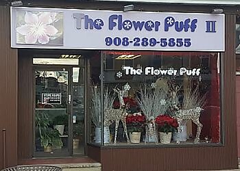 Elizabeth Florists The Flower Puff Too