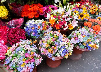 Worcester Florists The Flower Stop