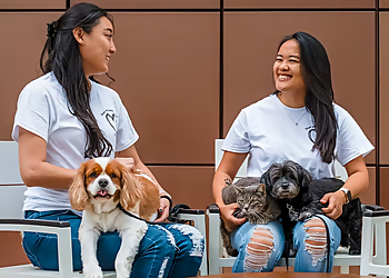 The Furry Ohana, LLC - Honolulu, HI Dog Walkers - Workplace Image