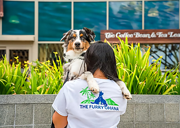 The Furry Ohana, LLC - Honolulu, HI Dog Walkers - Work Image