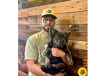 Rancho Cucamonga Pet Grooming The Good Dog