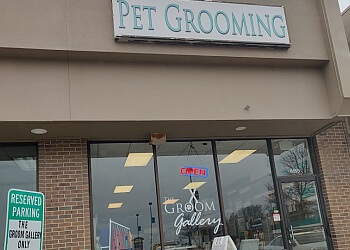 The Groom Gallery Kansas City Pet Grooming