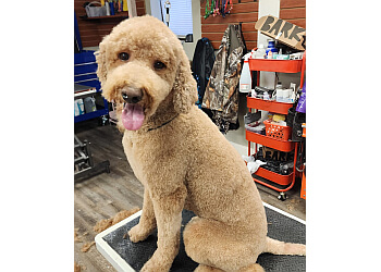 3 Best Pet Grooming in Topeka, KS - Expert Recommendations