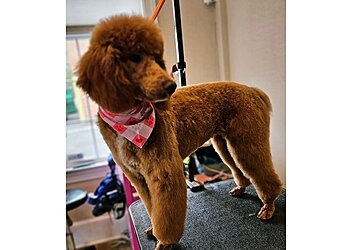 Alexandria Pet Grooming The Groomery Ltd.