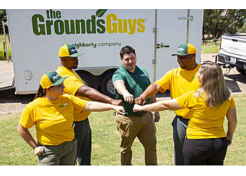 Waco Lawn Care Services The Grounds Guys of Waco