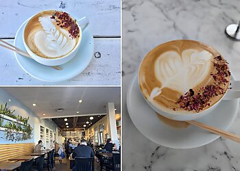 Albuquerque Cafe The Grove Cafe & Market