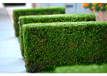 Sacramento landscaping company The Growing Company