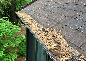 Baltimore Gutter Cleaners The Gutter Guys