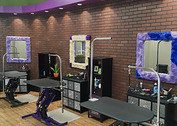 The Hairy Sofa Pet Grooming Boutique Wichita Pet Grooming image 1