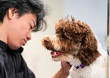 Buffalo Pet Grooming The Laundromutt