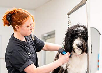 The Laundromutt Buffalo Pet Grooming image 1
