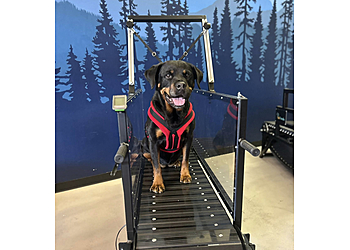 Eugene Pet Grooming The Laundromutt Self Service Dog Wash