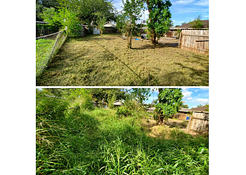 Corpus Christi Lawn Care Services The Lawn Ranger & Pronto Services